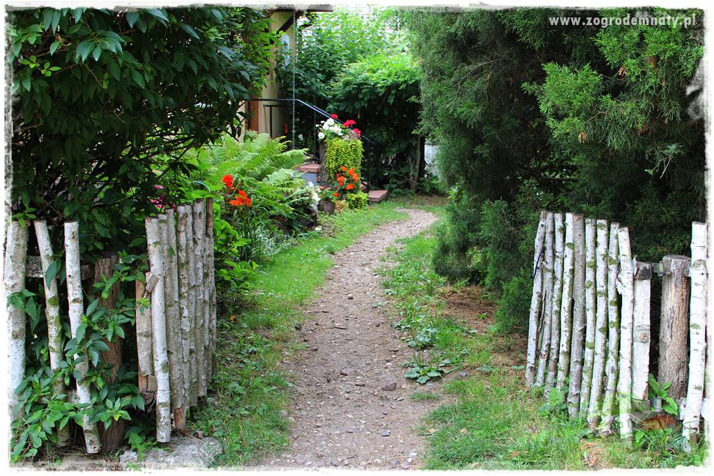 siedlisko łowickie 411