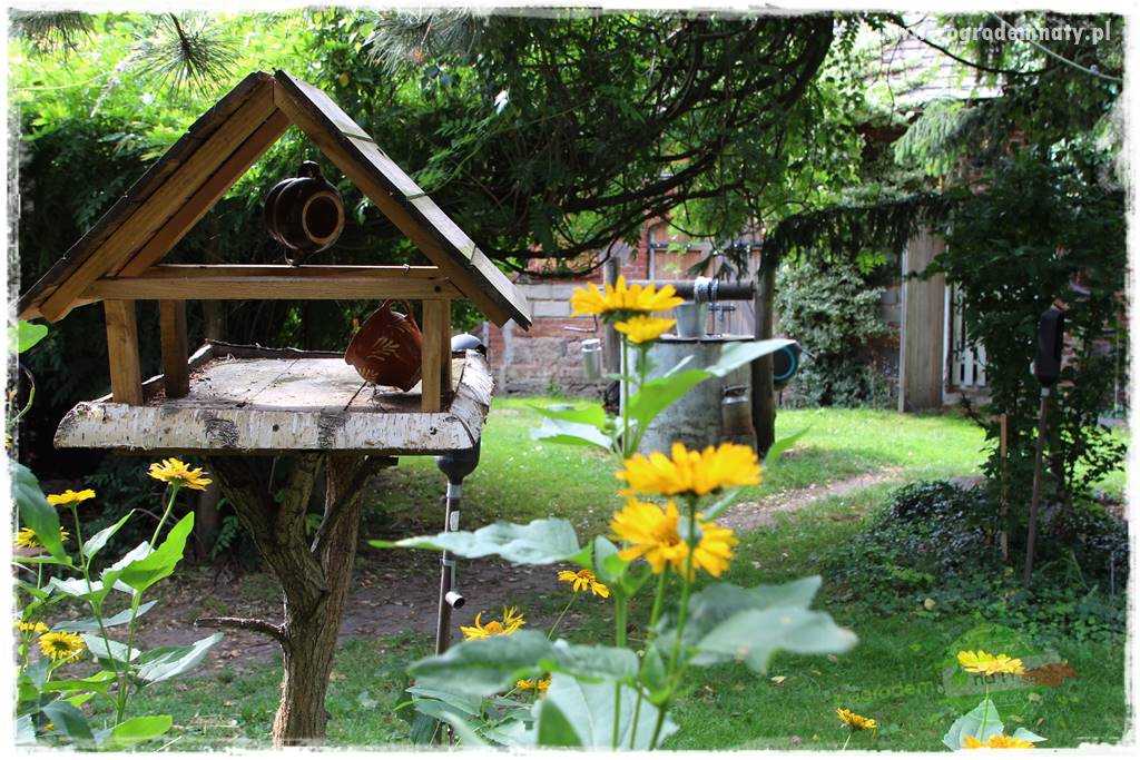 siedlisko łowickie 42