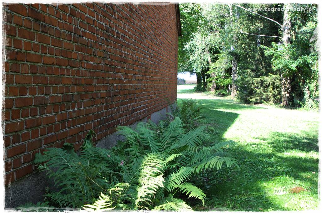 siedlisko łowickie 44