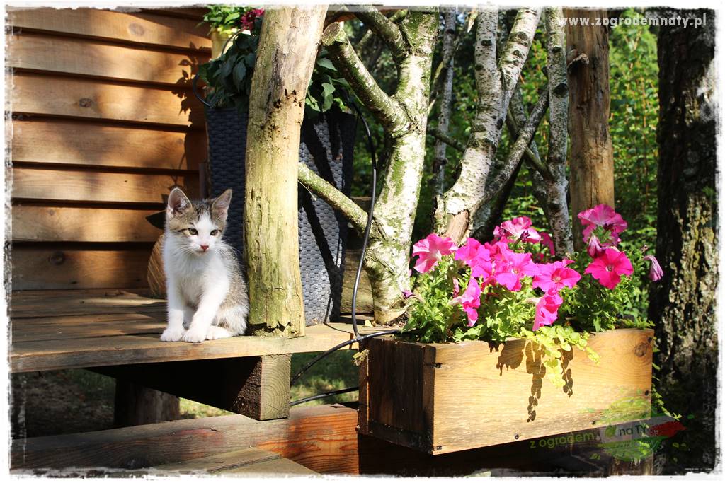 siedlisko łowickie 47