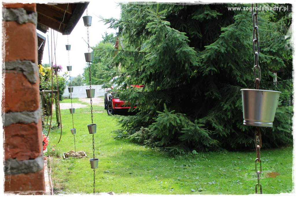 siedlisko łowickie 50