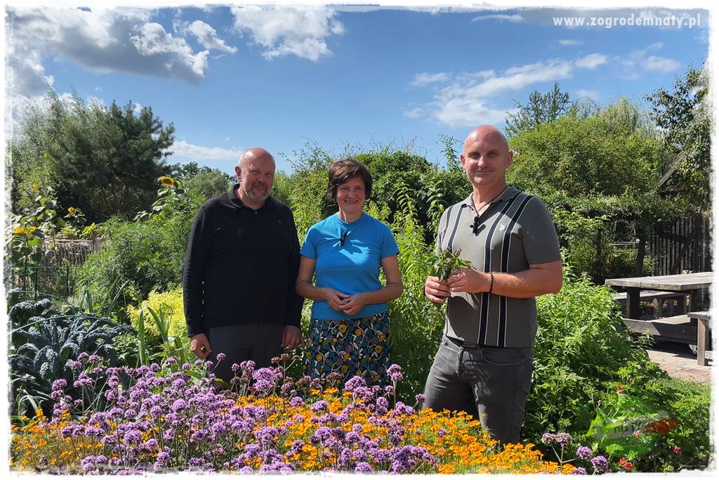 warzywa bez chemii 10