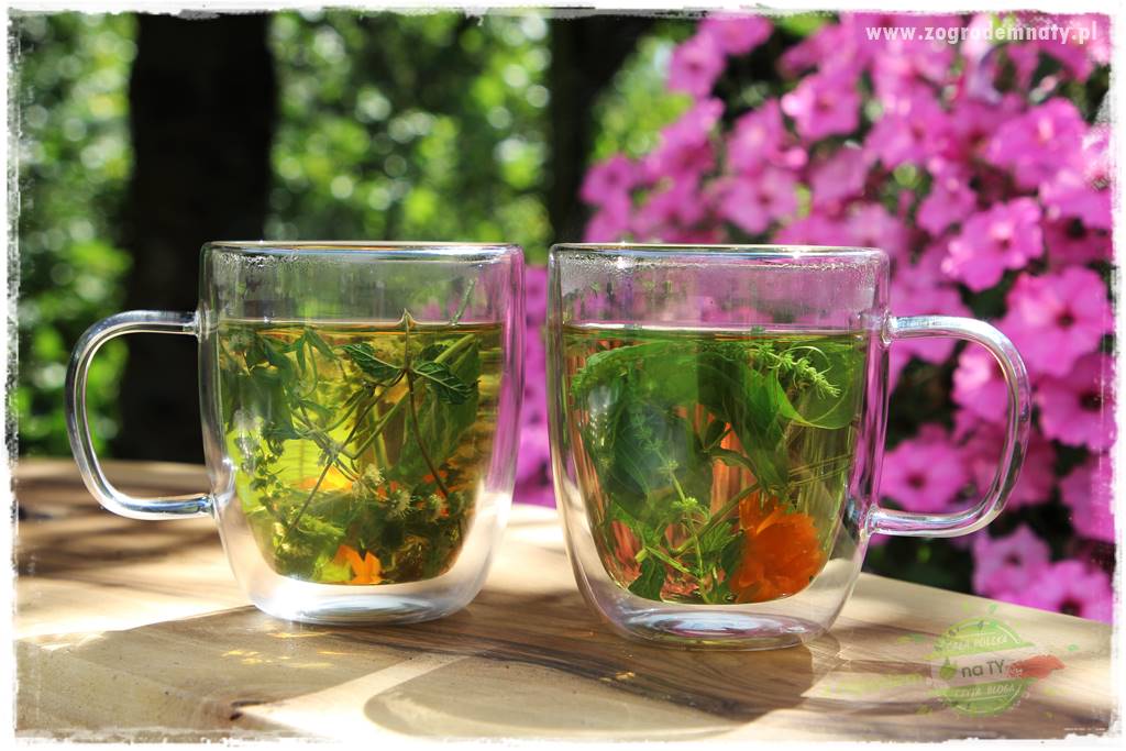 warzywa bez chemii 45 warzywa bez chemii 45