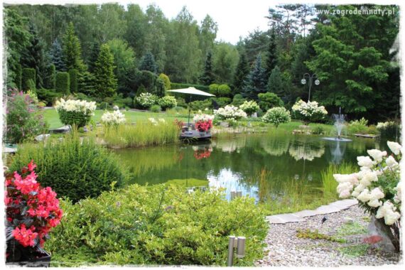 Hortensjowy raj 1