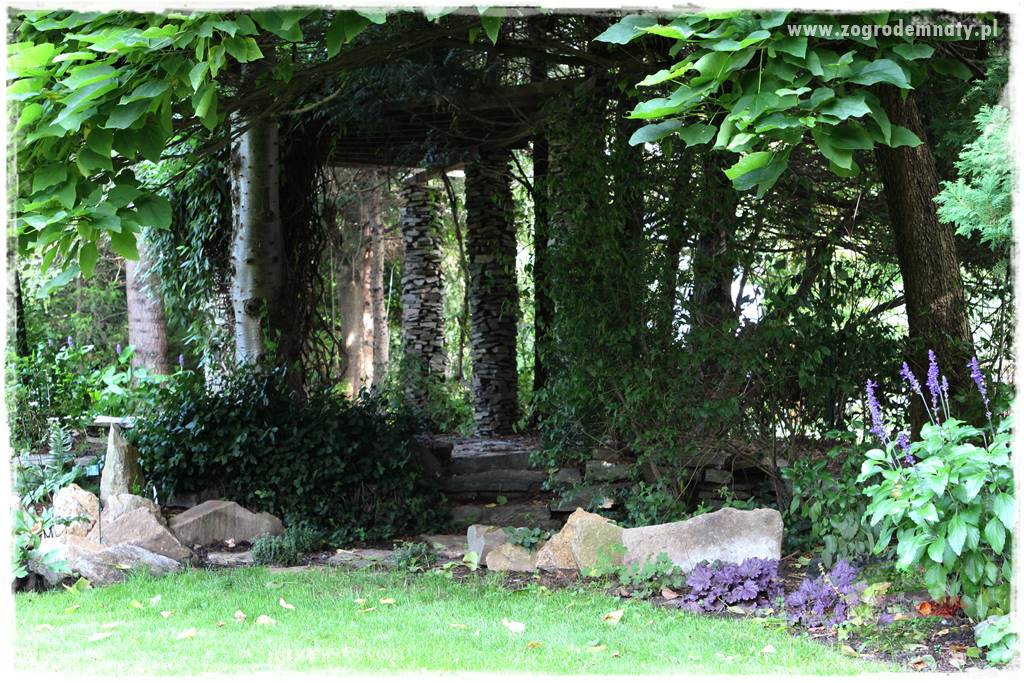 Dziki ogród 10 Dziki ogród 10