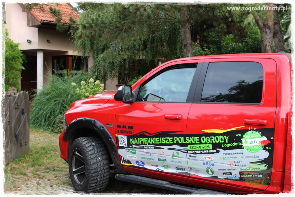 Dziki ogród 15 Dziki ogród 15