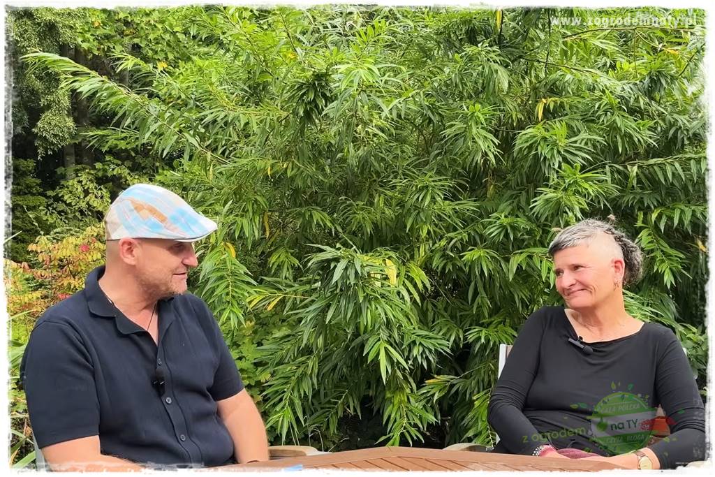 Dziki ogród 16 Dziki ogród 16