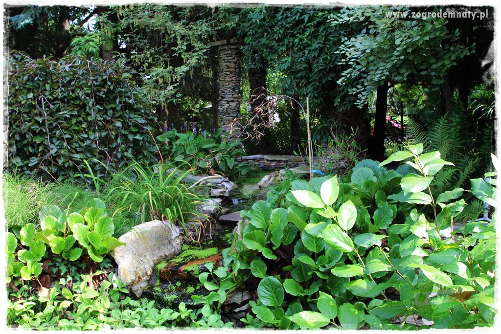 Dziki ogród 2 Dziki ogród 2