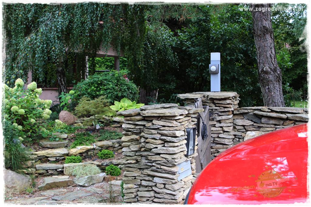 Dziki ogród 20 Dziki ogród 20