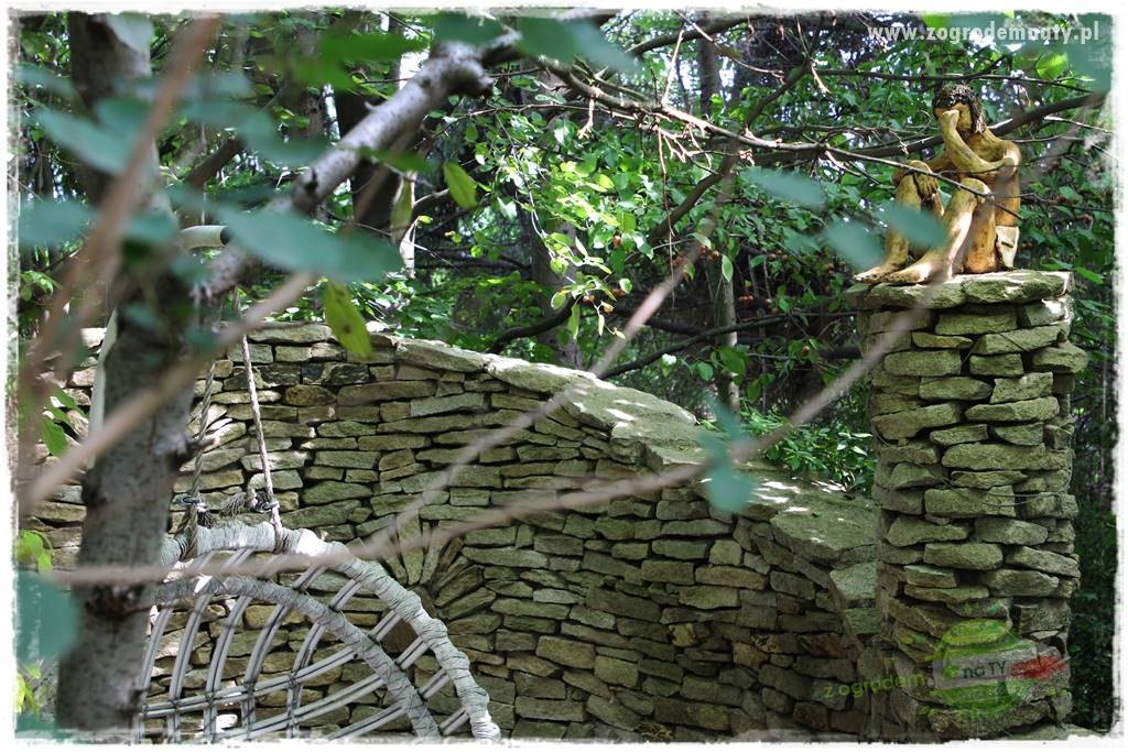 Dziki ogród 26 Dziki ogród 26