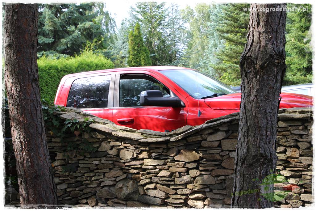 Dziki ogród 402 Dziki ogród 402