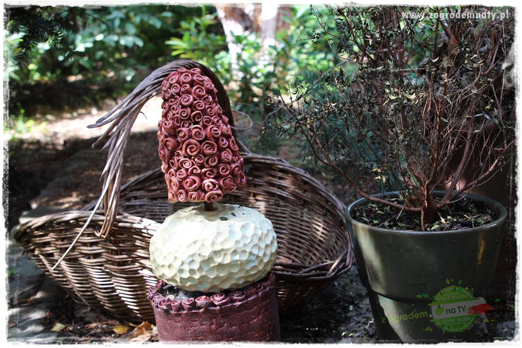 Dziki ogród 404 Dziki ogród 404