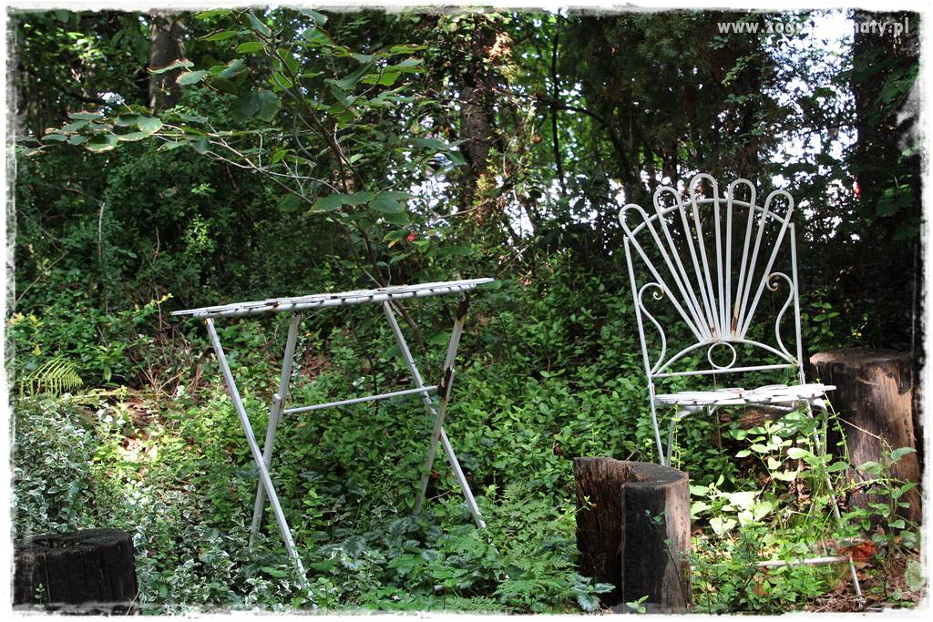 Dziki ogród 405 Dziki ogród 405