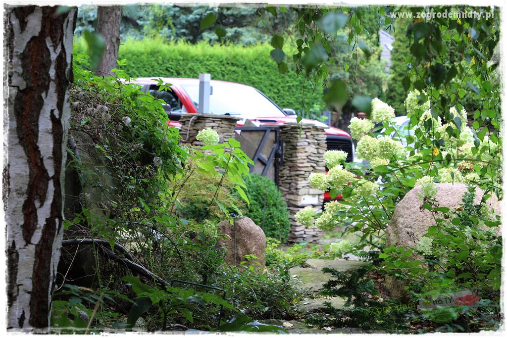 Dziki ogród 410 Dziki ogród 410