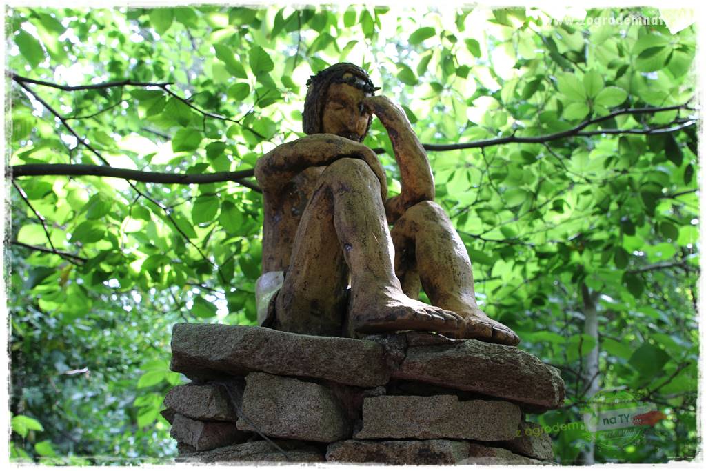 Dziki ogród 413 Dziki ogród 413