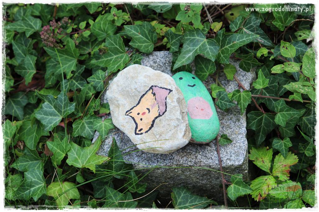 Dziki ogród 426 Dziki ogród 426