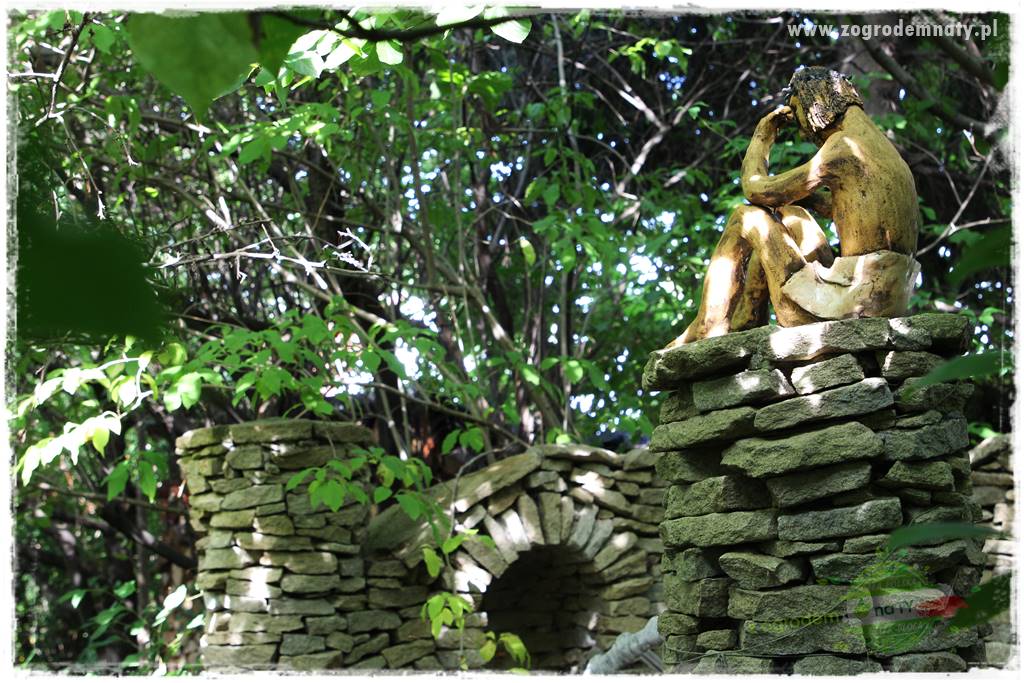 Dziki ogród 43 Dziki ogród 43