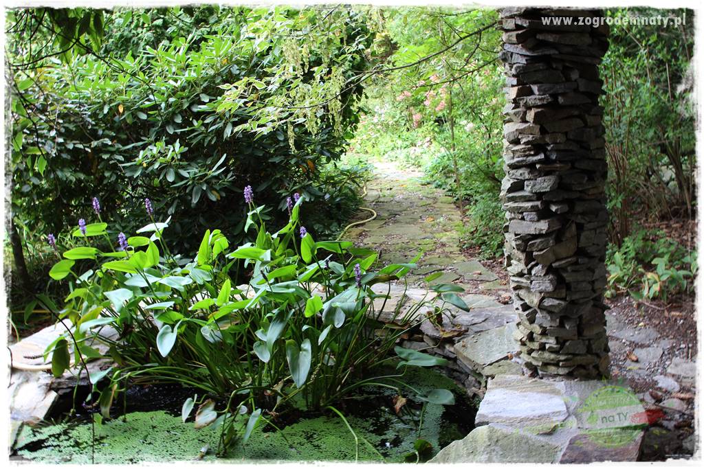 Dziki ogród 434 Dziki ogród 434