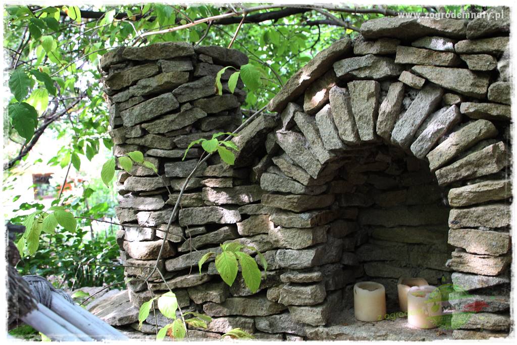 Dziki ogród 46 Dziki ogród 46