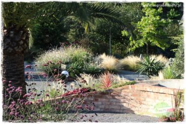Egzotyczny ogród 1