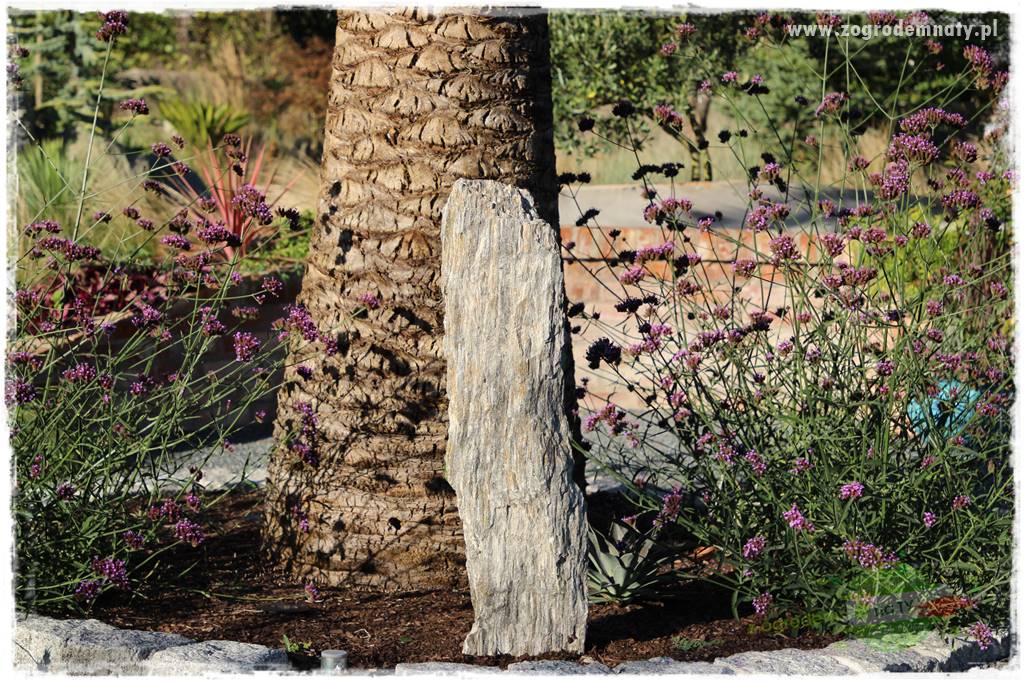 Egzotyczny ogród 106