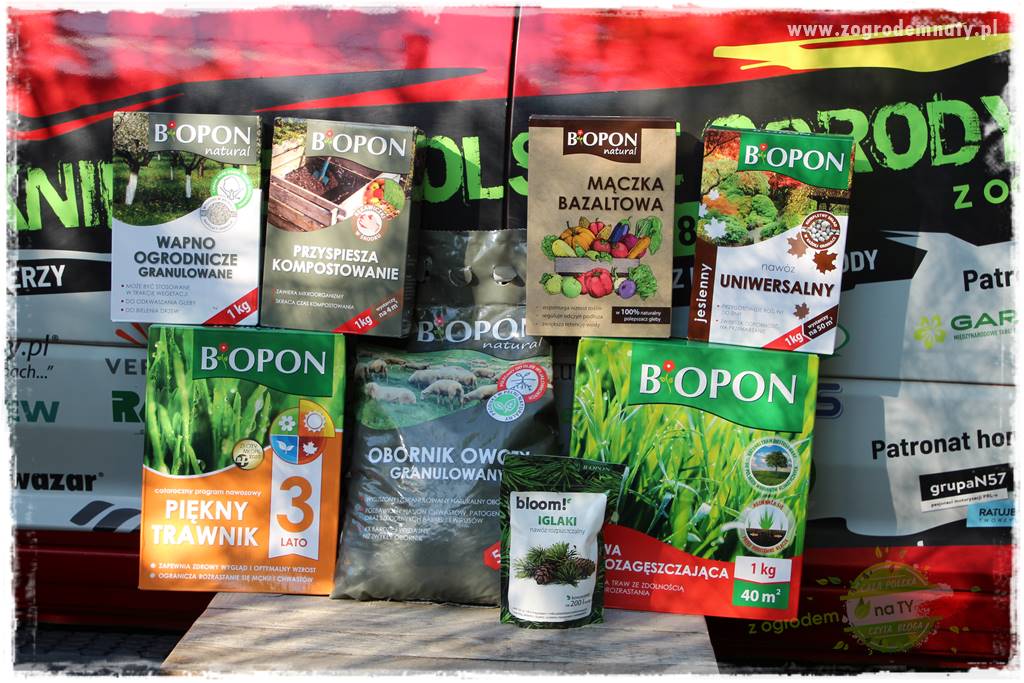 Egzotyczny ogród 118