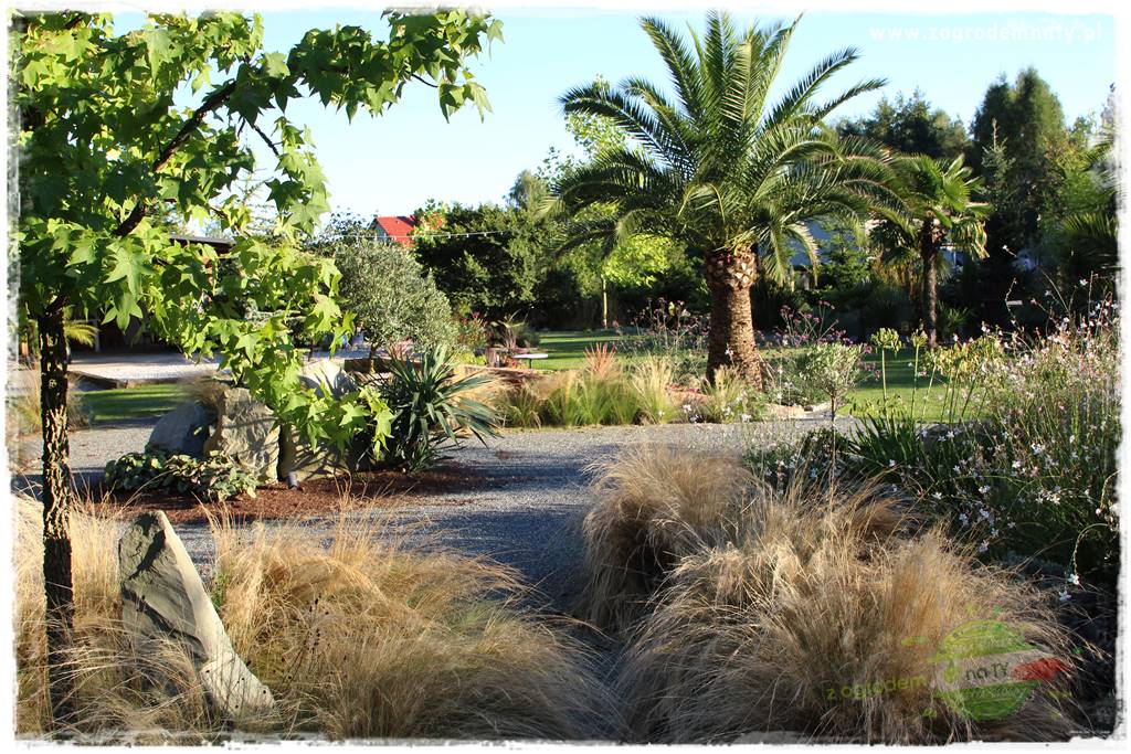 Egzotyczny ogród 2 Egzotyczny ogród 2