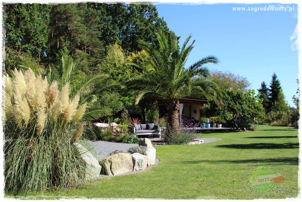 Egzotyczny ogród 20 Egzotyczny ogród 20