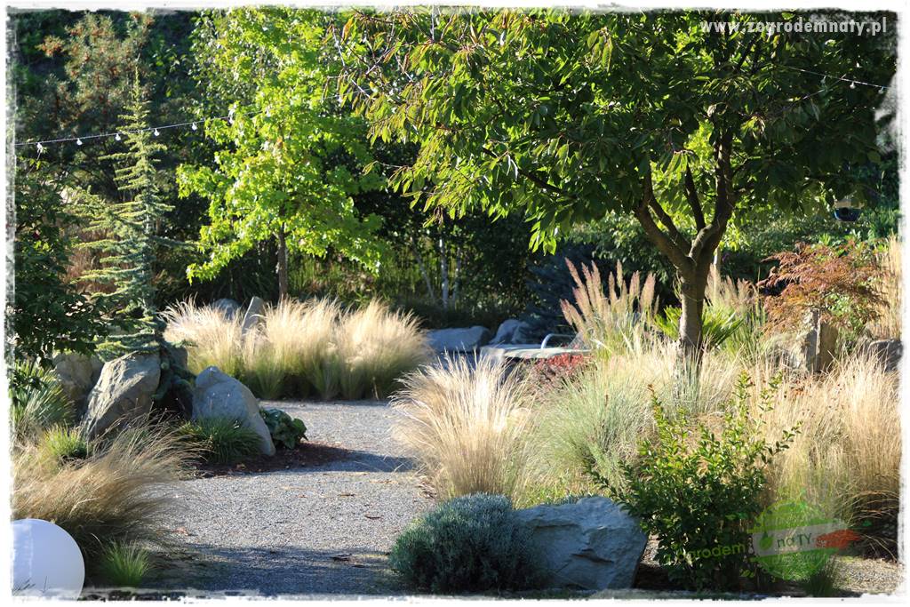 Egzotyczny ogród 201 Egzotyczny ogród 201