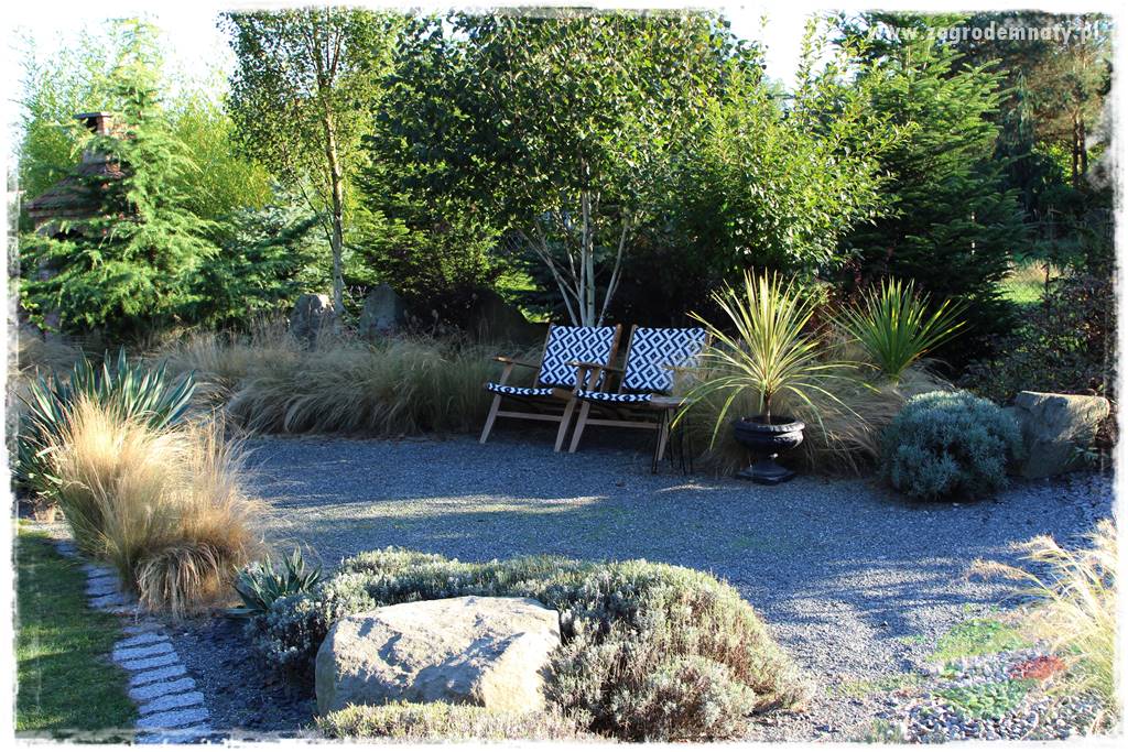 Egzotyczny ogród 203 Egzotyczny ogród 203