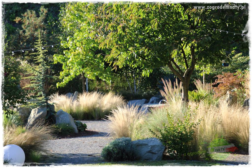 Egzotyczny ogród 21 Egzotyczny ogród 21