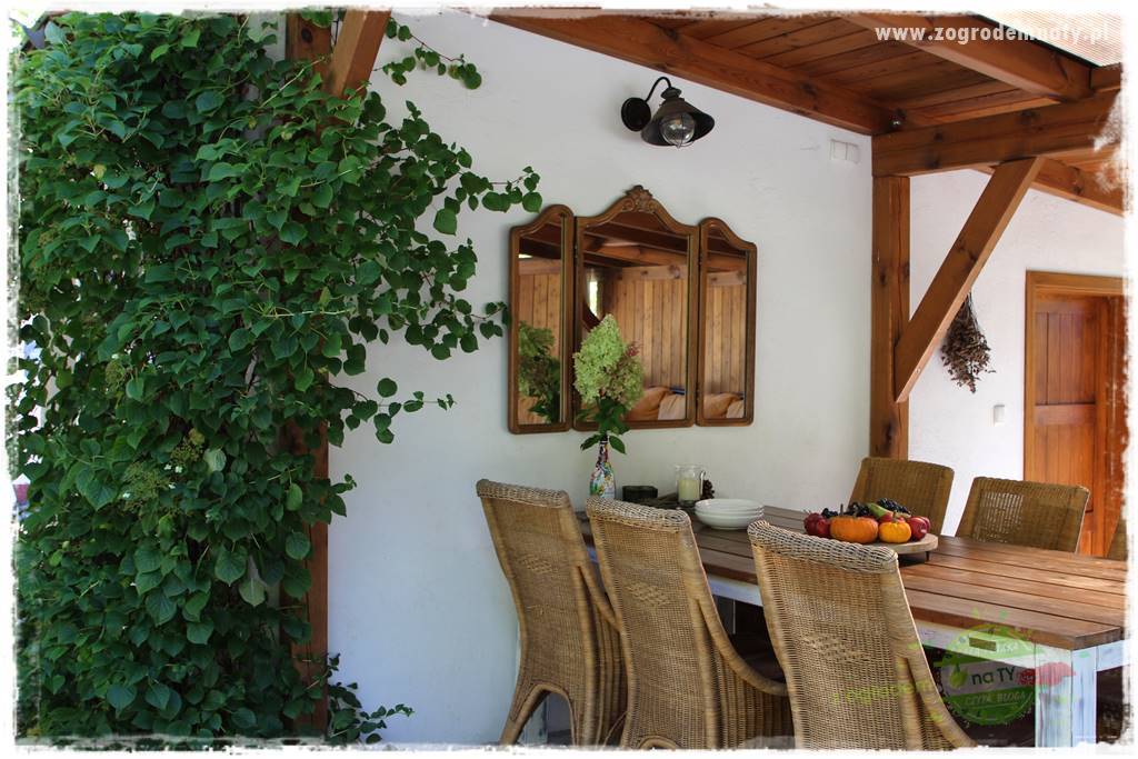 Egzotyczny ogród 24 Egzotyczny ogród 24