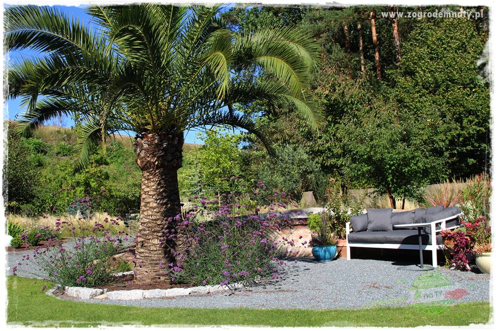 Egzotyczny ogród 26 Egzotyczny ogród 26