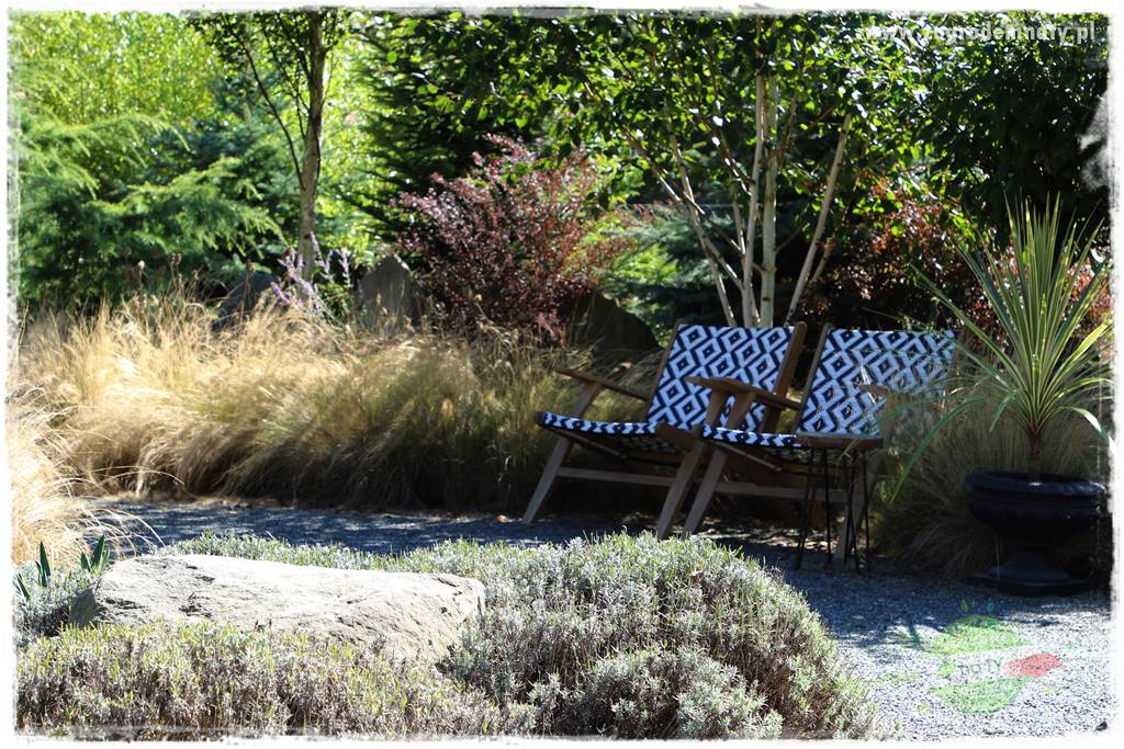 Egzotyczny ogród 27 Egzotyczny ogród 27