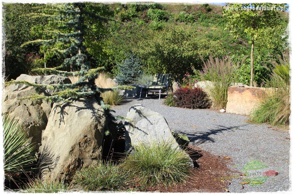 Egzotyczny ogród 28 Egzotyczny ogród 28