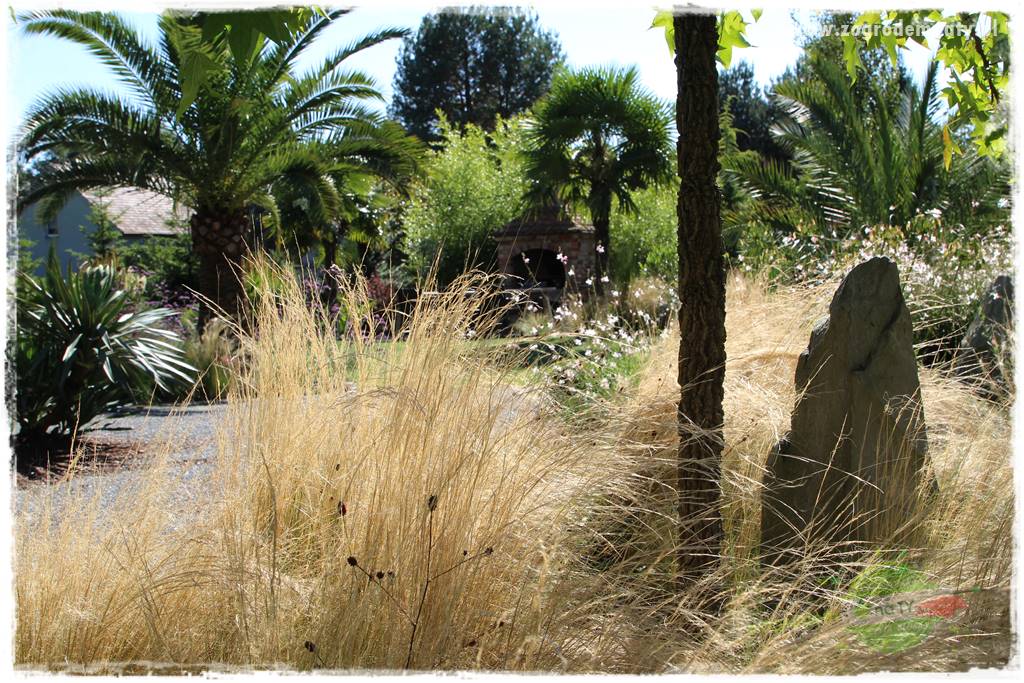 Egzotyczny ogród 4 Egzotyczny ogród 4