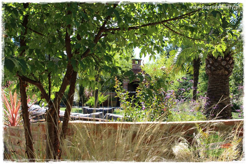Egzotyczny ogród 405 Egzotyczny ogród 405