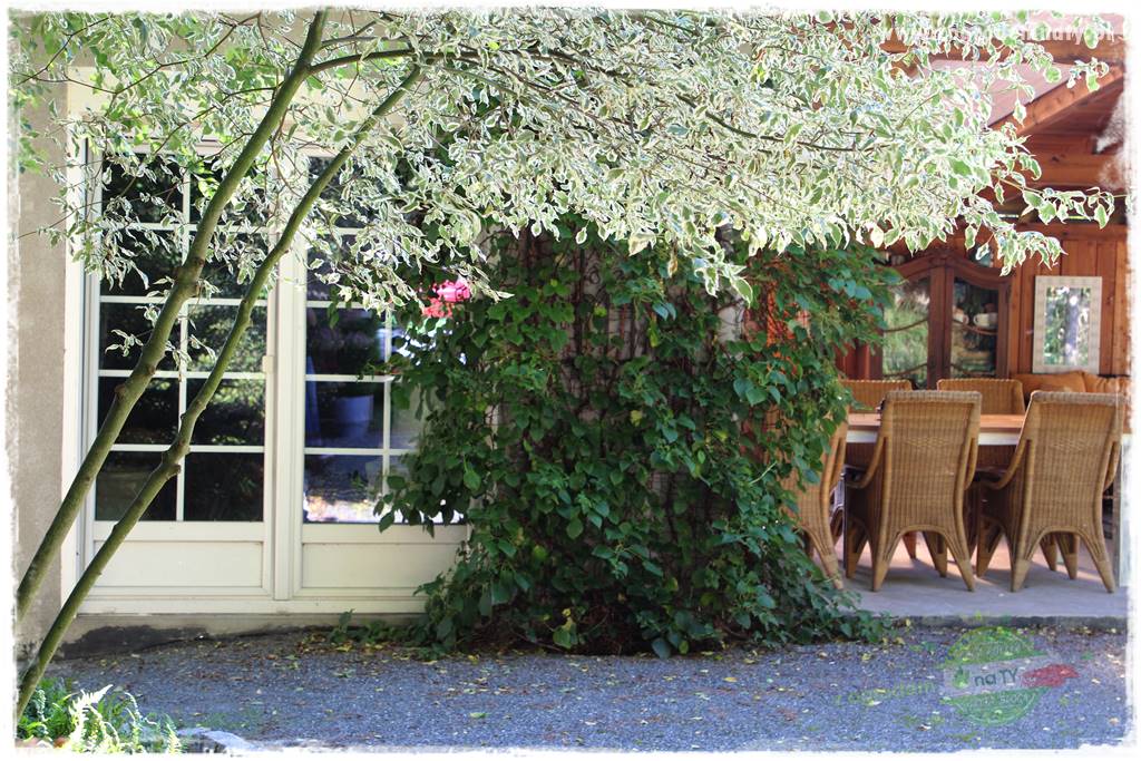 Egzotyczny ogród 407 Egzotyczny ogród 407