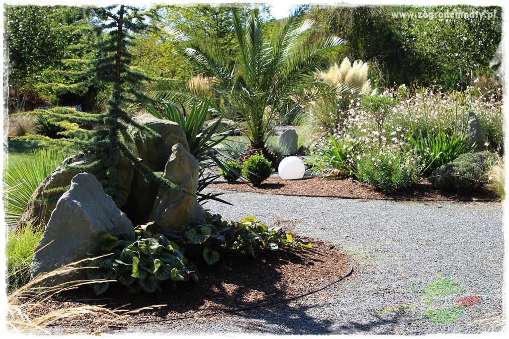 Egzotyczny ogród 409 Egzotyczny ogród 409