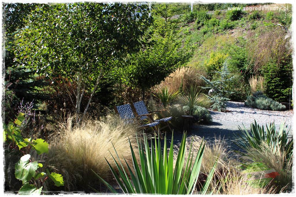 Egzotyczny ogród 41 Egzotyczny ogród 41