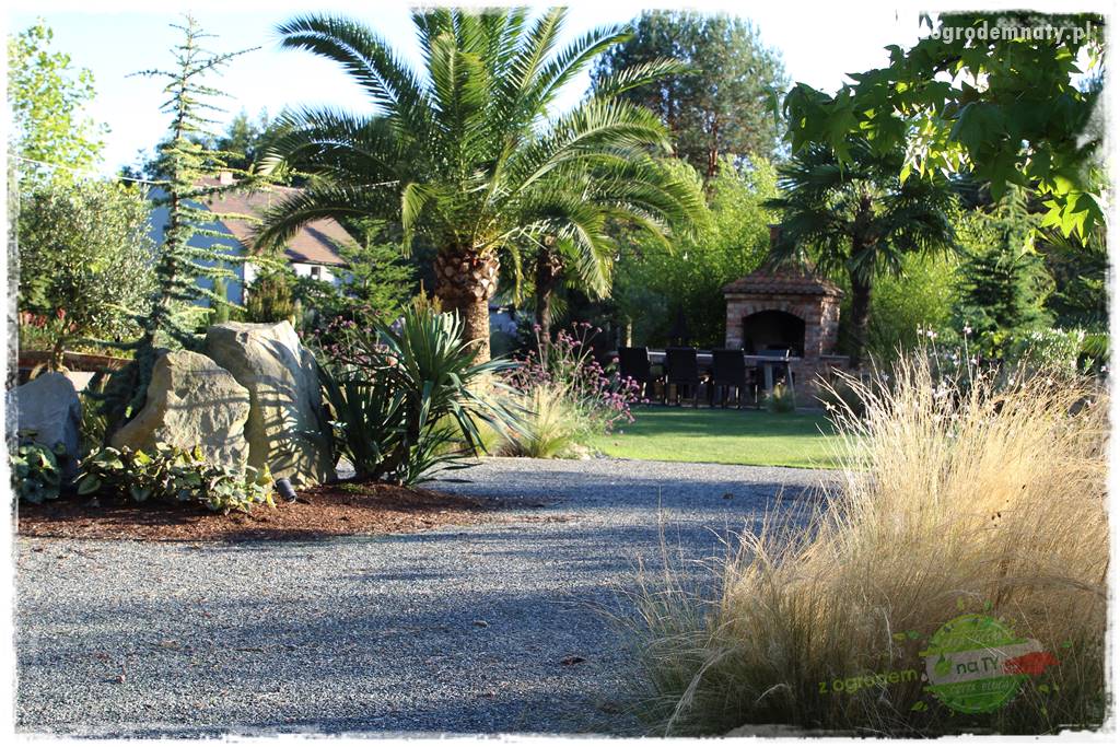 Egzotyczny ogród 410 Egzotyczny ogród 410