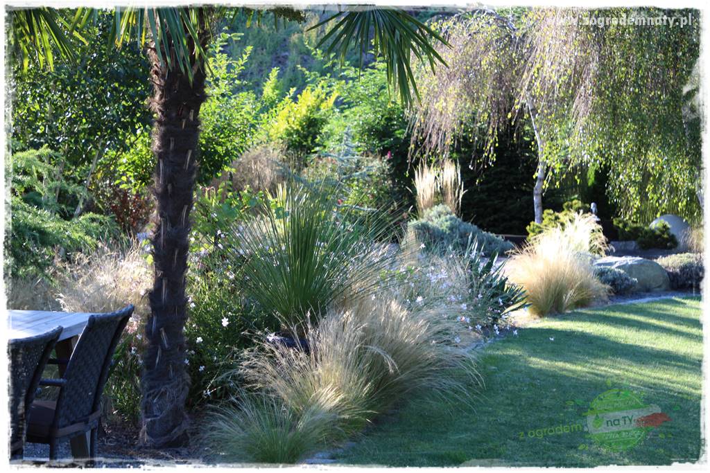 Egzotyczny ogród 411 Egzotyczny ogród 411