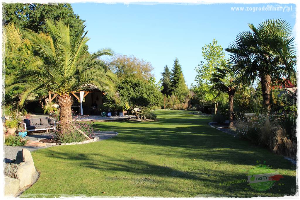 Egzotyczny ogród 412 Egzotyczny ogród 412