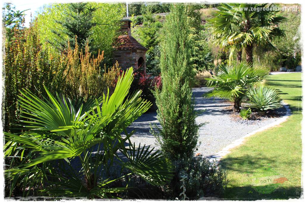 Egzotyczny ogród 417 Egzotyczny ogród 417