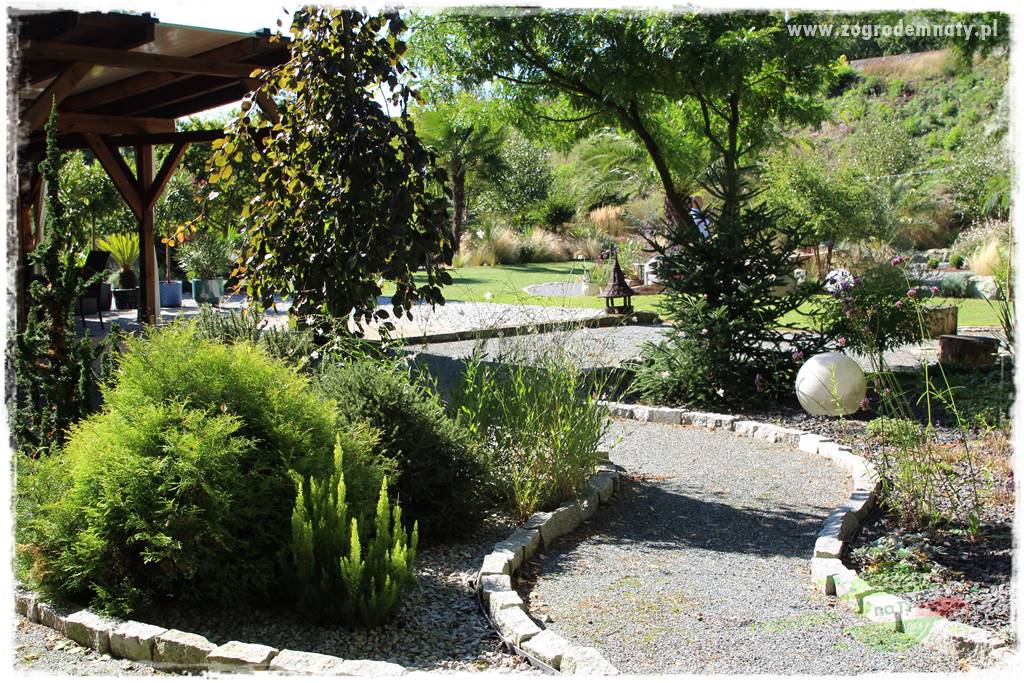 Egzotyczny ogród 419 Egzotyczny ogród 419