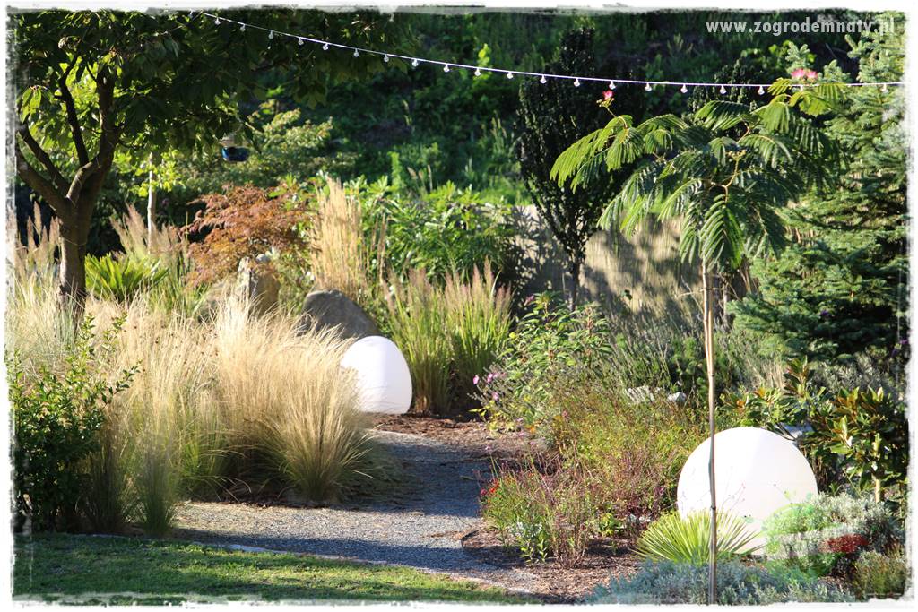 Egzotyczny ogród 421 Egzotyczny ogród 421