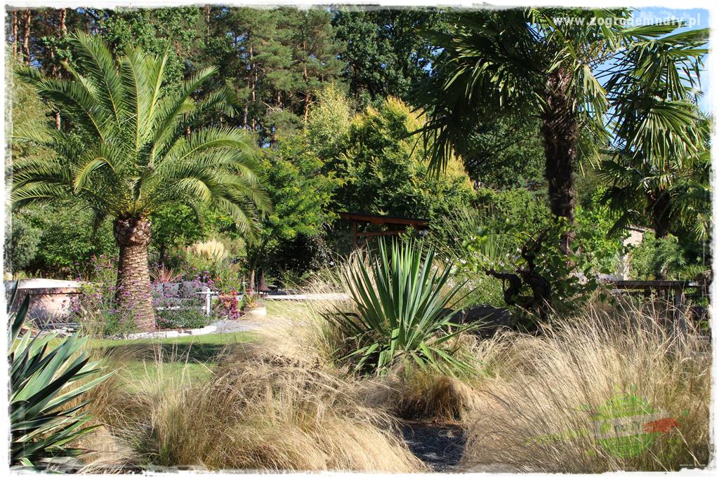 Egzotyczny ogród 423 Egzotyczny ogród 423