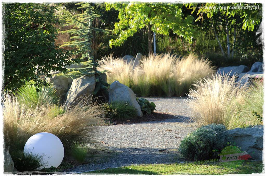 Egzotyczny ogród 425 Egzotyczny ogród 425