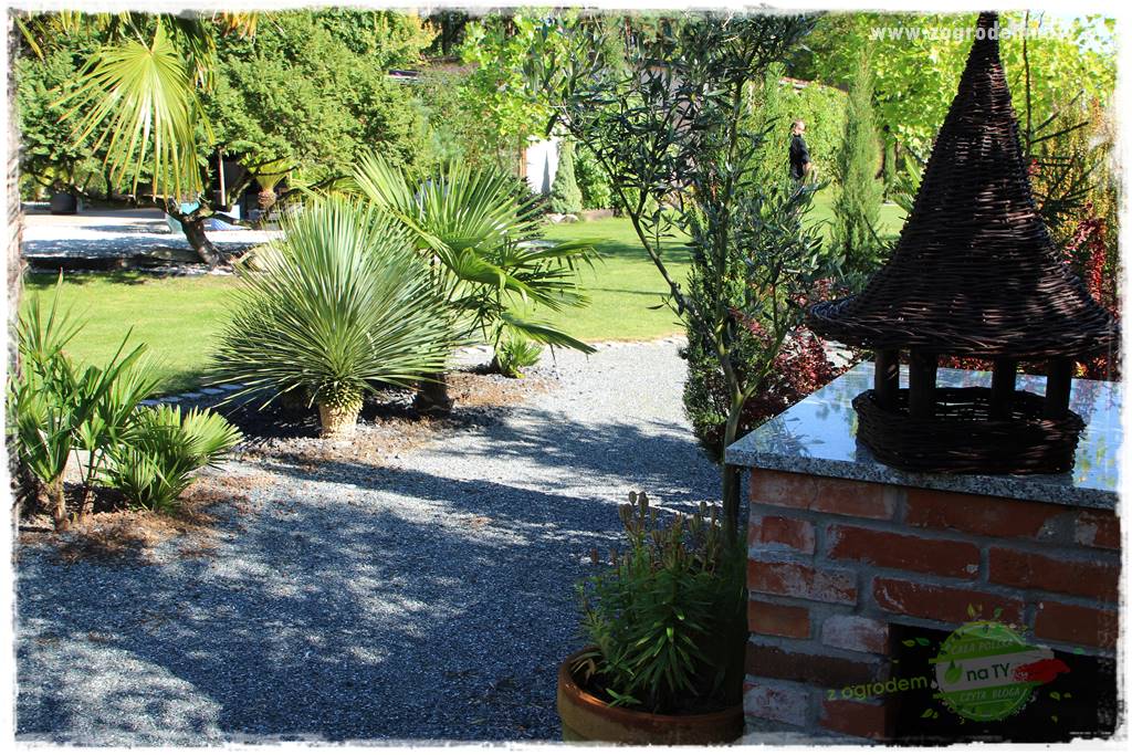 Egzotyczny ogród 427 Egzotyczny ogród 427