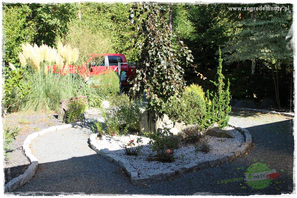 Egzotyczny ogród 428 Egzotyczny ogród 428